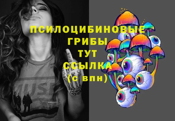 прущие грибы Алзамай
