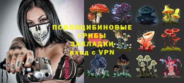прущие грибы Алзамай