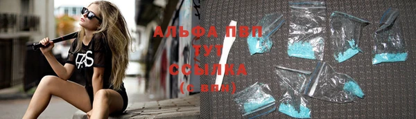 хмурый Болхов